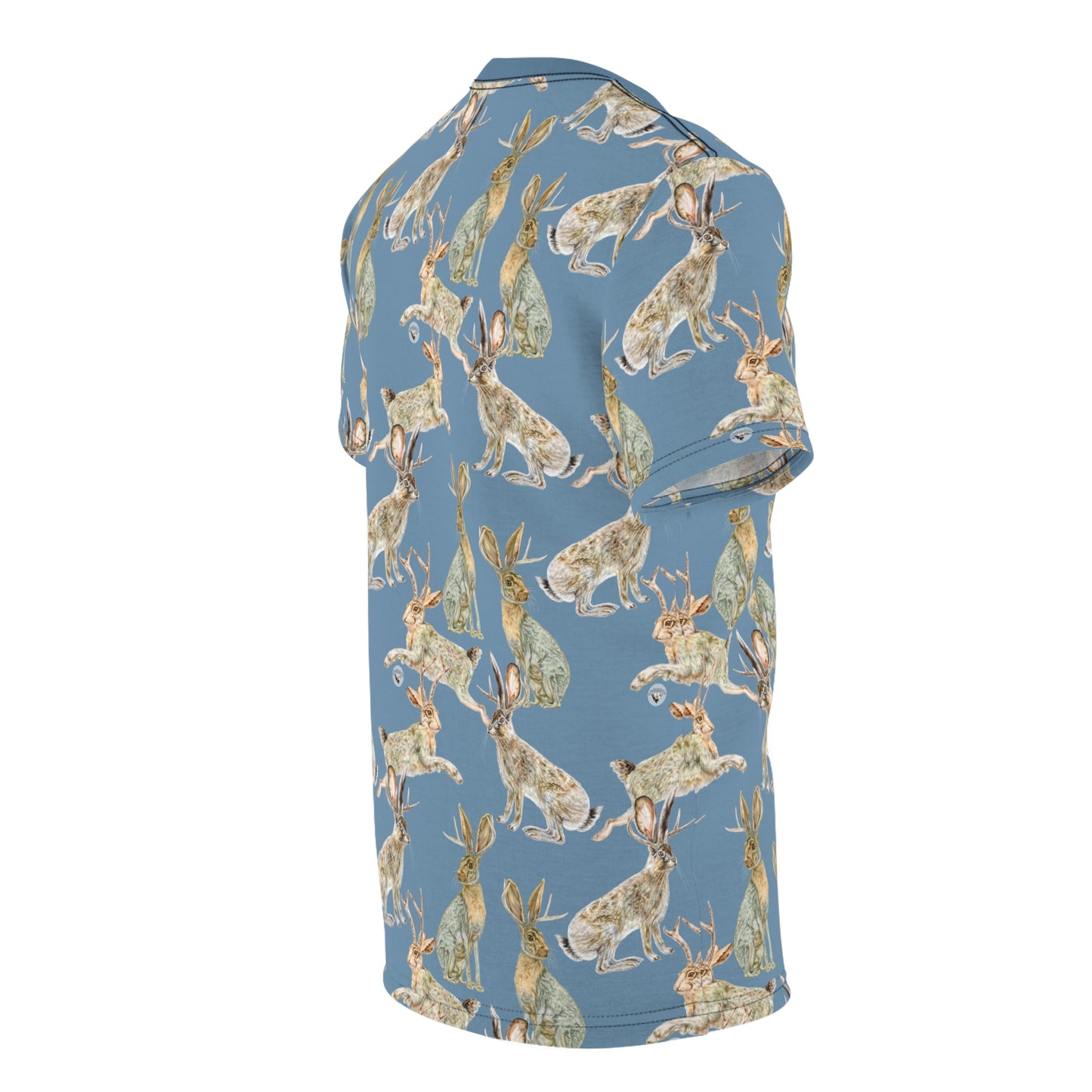 Unisex Cut & Sew Tee (AOP) - Rowdy Jacks_Sky